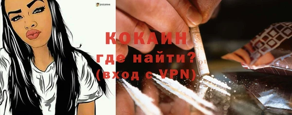 ALPHA PVP Богородицк