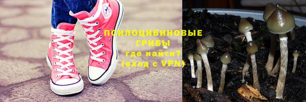 ALPHA PVP Богородицк